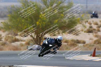 media/Apr-10-2022-SoCal Trackdays (Sun) [[f104b12566]]/Turn 5 Tree of Life (1040am)/